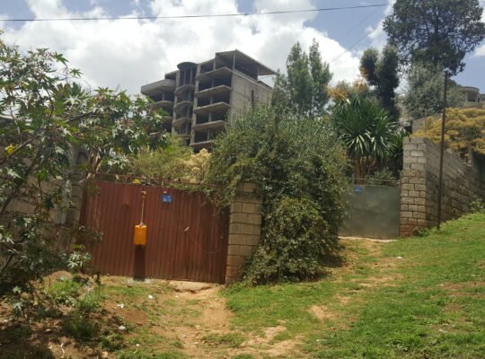 House at Top View( Megenagna) for sale