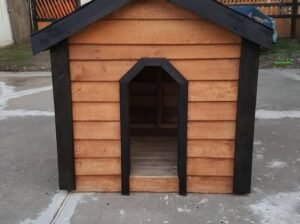 Dog house