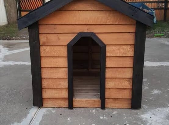 Dog house