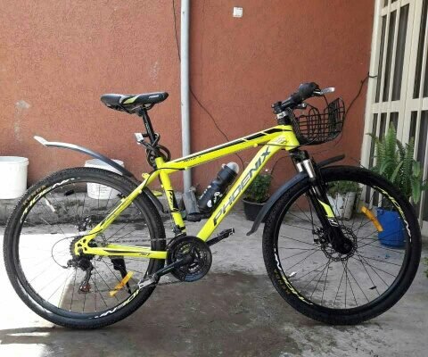 phoneix cycle new and brand