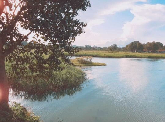 i am ermiyas i live in bahrdar   i make kids  book and video and photo editor