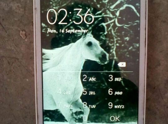 samsung grand neo plus