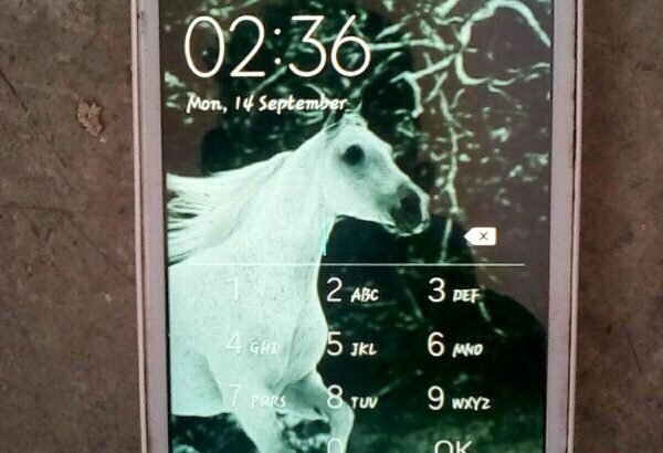 samsung grand neo plus