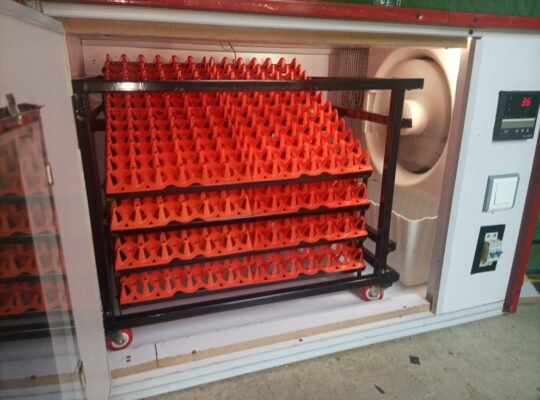 የዶሮ ጫጩት ማስፈልፈያ ማሽን (ኢንኩቤተር)