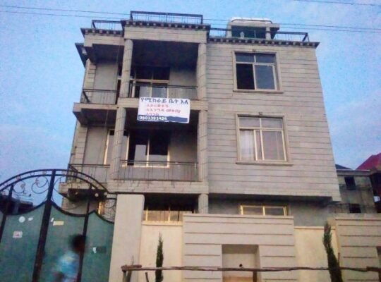 የኪራይ ህንፃ ባህር ዳር rental building