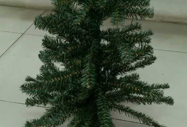 REAL CHRISTMAS TREE (190cm)