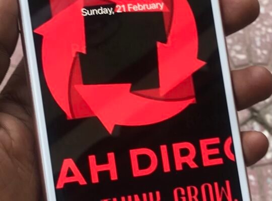 IPHON 8 Plus (256GB)