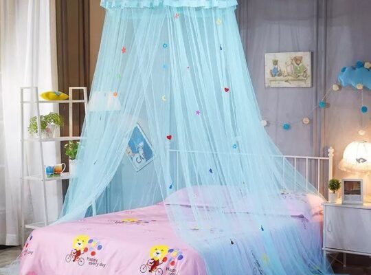 ዘመናዊ ኣጎበር ዛንዚራ