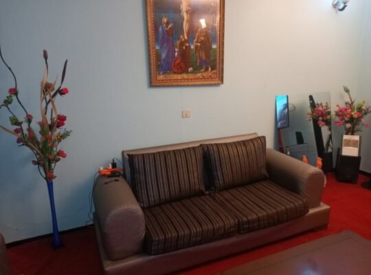 የቤት ውስጥ ሶፋ