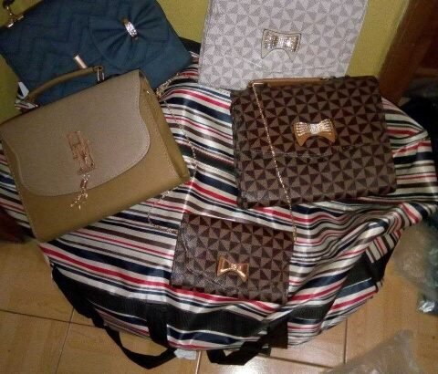 Ladies Hand Bags