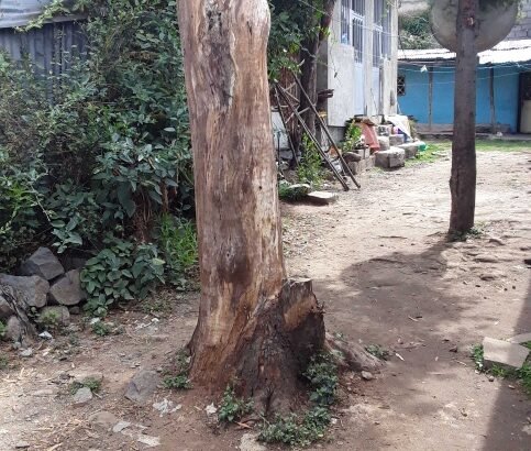 የሚሸጥ  ቤት