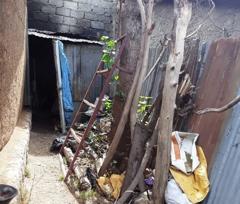 የሚሸጥ  ቤት