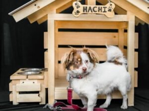 Dog House (Small)
