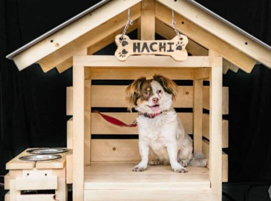 Dog House (Small)