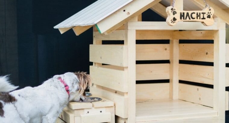 Dog House (Small)