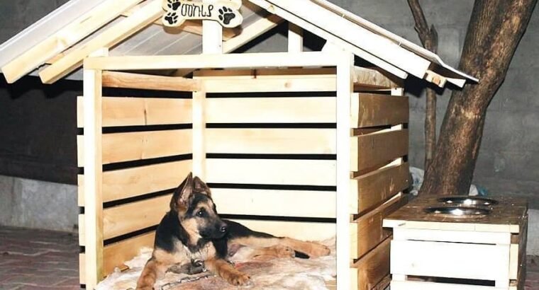 Pet / Dog House (Large)