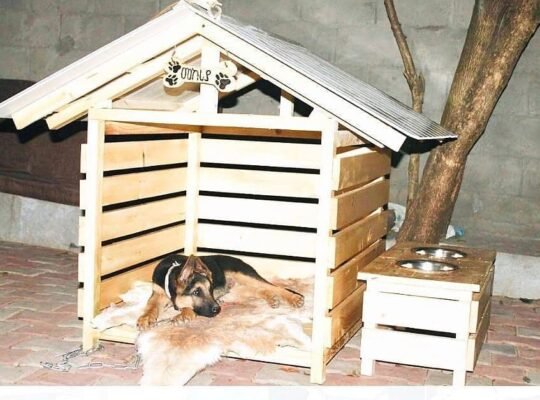 Pet / Dog House (Large)