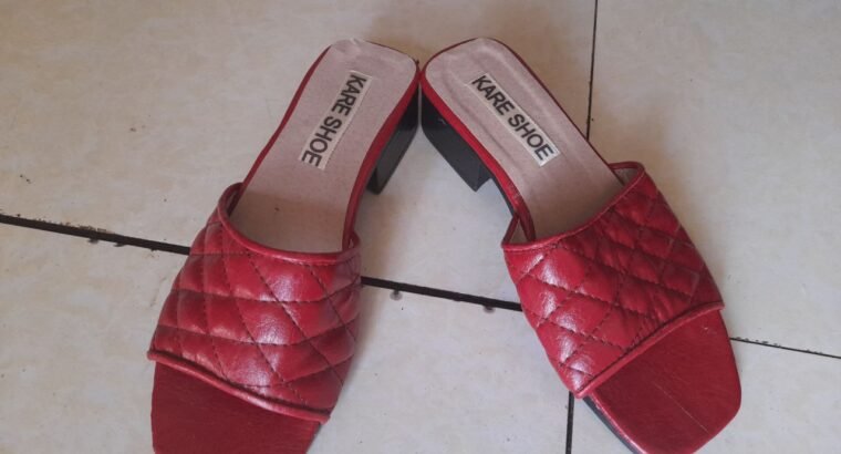 Shoe for ladies