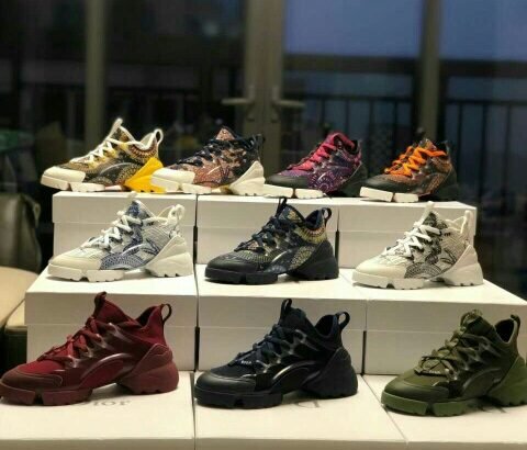 Dior Sneakers