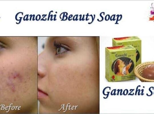 Ganozhi soap