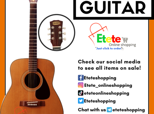 Siltron Acoustic Guitar