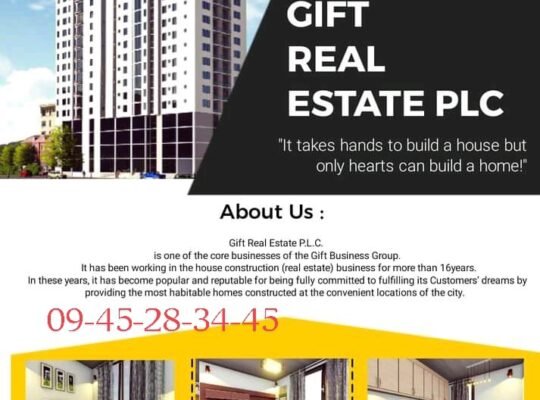 ጊፍት አፓርታማ ና ዘመናዊ የንግድ ሞሎች