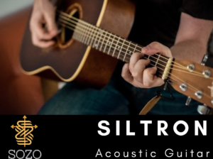 Siltron Acoustic Guitar