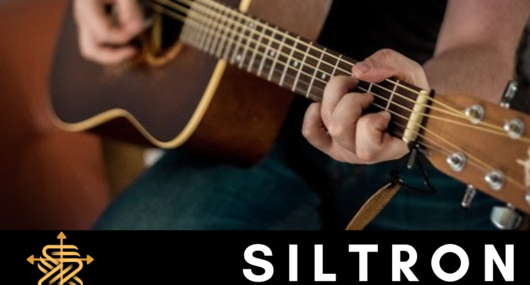 Siltron Acoustic Guitar