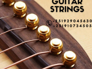 Acoustic Guitar Strings