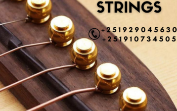 Acoustic Guitar Strings