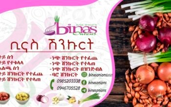 Binas Onions | ቢናስ ሽንኩርት