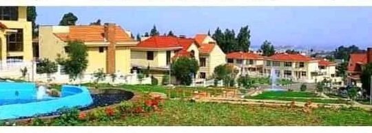 Gift real estate
2%-10% Christmas discount
Villa apartments  640,000(10%)ቅድመ ክፍያ እና 50% የባንክ ብድር
📞