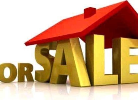 40/60 ኮንደምኒየም አያት