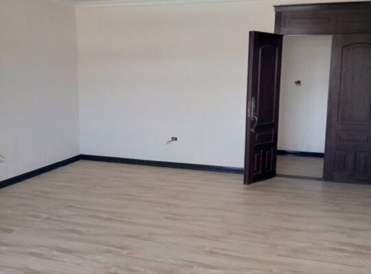 ግንባታቸው የተጠናቀቁ ውብ እና ዘመናዊ