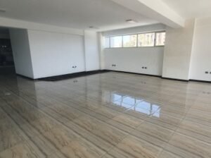 Comercial Property in Addis Ababa