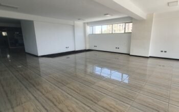 Comercial Property in Addis Ababa