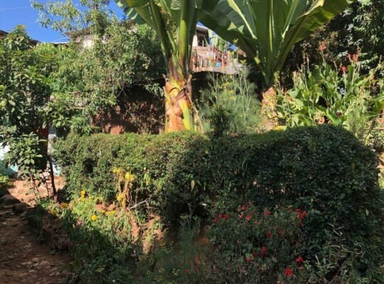 የሚሸጥ መኖሪያ ቤት