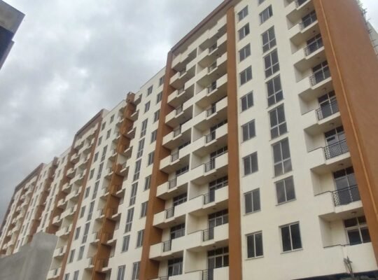 ዘመናዊ APARTMENT በ CMC