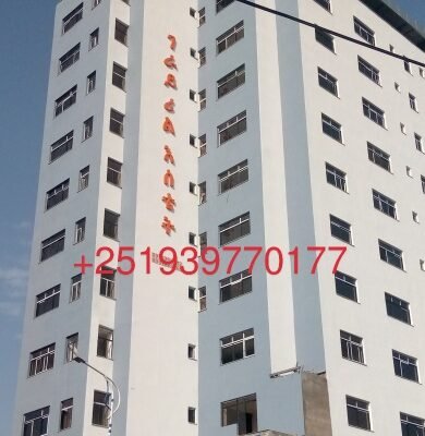 ከ ቦሌ ወደ መገናኛ መሃል 24