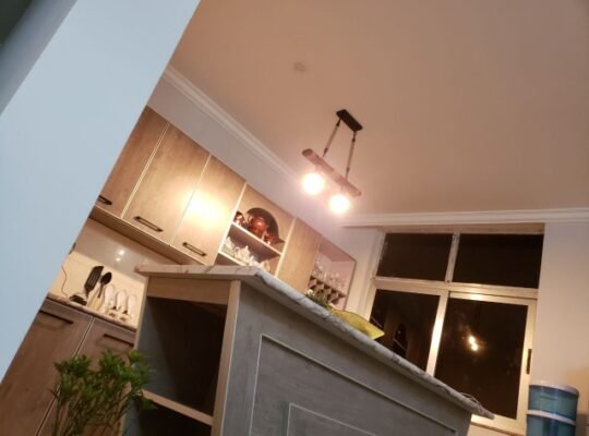 Luxury Apatrment at British Embacy