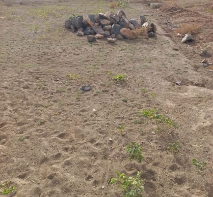 Land for house construction