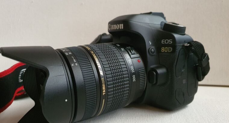 Canon 80D with Tamron 20-300mm lens