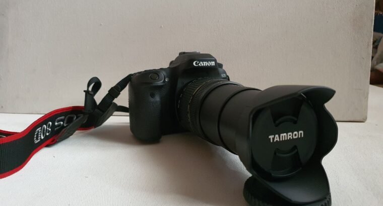 Canon 80D with Tamron 20-300mm lens