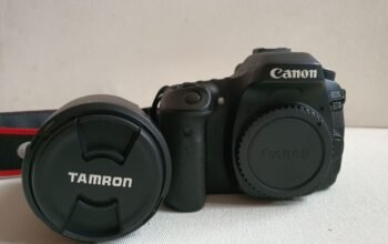 Canon 80D with Tamron 20-300mm lens