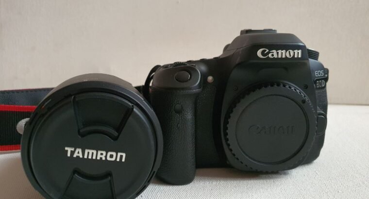 Canon 80D with Tamron 20-300mm lens