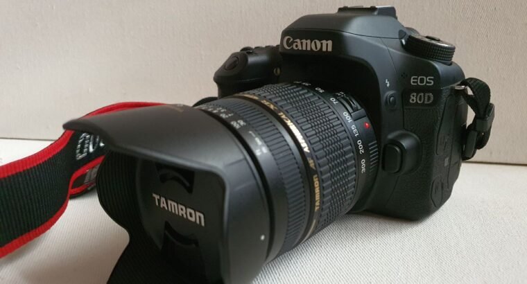 Canon 80D with Tamron 20-300mm lens